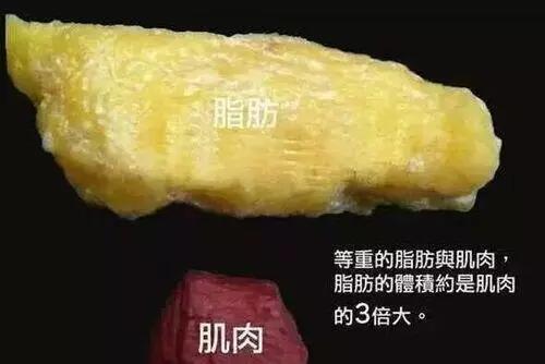 360度环形吸脂减肥果怎么样呢？给我看看图片呐~