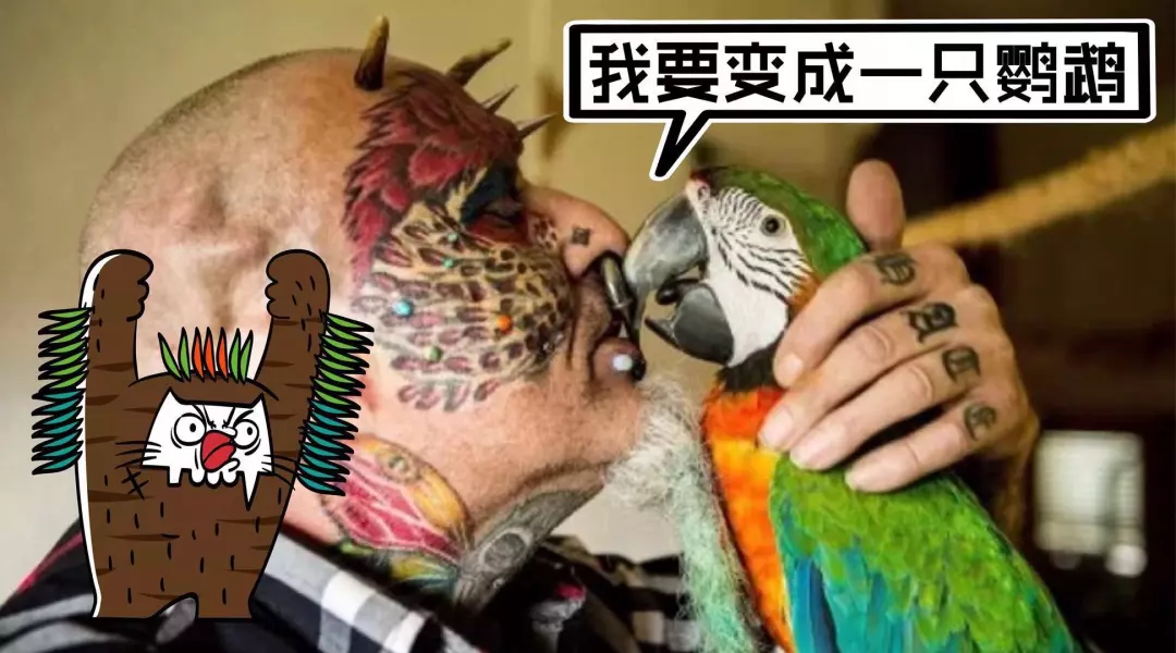割双眼皮到底疼不疼？这个“鹦鹉人”较有发言权！ 