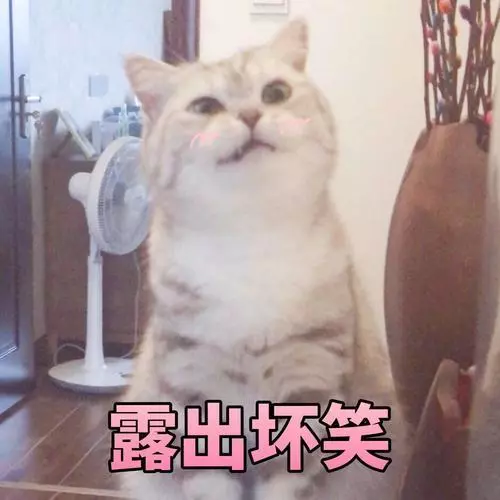 被相亲对象说90后的脸00后的胸？来看她的小胸逆袭！