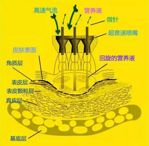 百嘉丽无针水光半年卡仅188元！抢购还能直抵1880元！