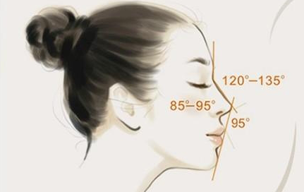 双美胶原蛋白隆鼻价格大概是多少哎?