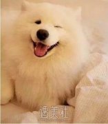 上海华美给你总结了气质美人的共同点，快来看！ width=