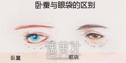 撒娇肉是什么意思?你知道撒娇肉的重要性吗?