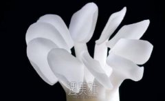 亳州做全瓷牙贴面大概多少钱?费用一般在哪个区间? width=