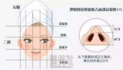 蒜头鼻整形前后对比图片：这可不是因为蒜头吃多了哦~ width=