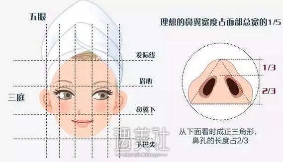 蒜头鼻整形前后对比