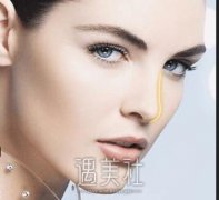 银川打胶原蛋白隆鼻头的价格大概是多少？每个城市不同吧？ width=