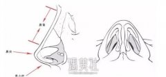 长春硅胶隆鼻一般多少钱，什么决定价格? width=