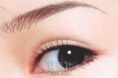淮北绣眉一般要多少钱，听说价格不贵哦？ width=