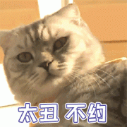 试遍各种美容秘笈，你依然还是个丑逼~
