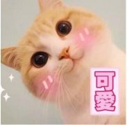 【女王节钜惠来袭】比减肥更重要的是什么