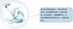 上海美白价格大概是多少? width=
