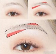 上扬眉怎么画法?上扬眉图片~ width=