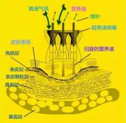 百嘉丽无针水光半年卡仅188元！抢购还能直抵1880元！