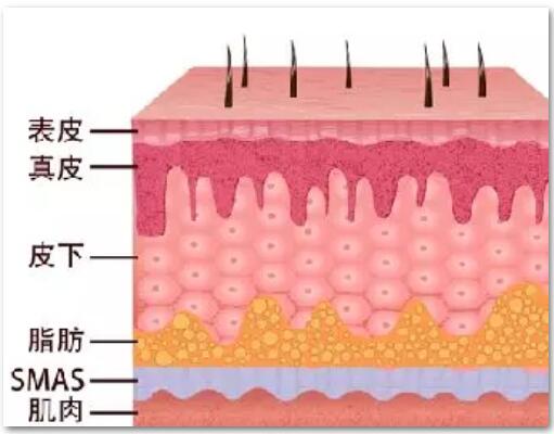 韩氏减肥劝退？不如看看三十几岁女性的正确抗衰~