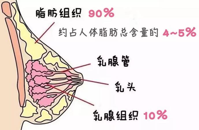 一个大忽悠：按摩可以让脸变小、让胸变大!