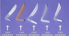 分段式假体隆鼻大约要花费多少钱? width=