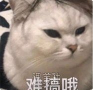 好看的五官却毁在脸型上是什么样的体验？编哥来给大家分析下！ width=