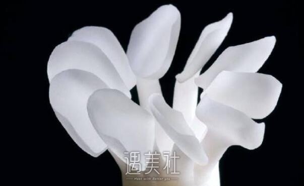 亳州做全瓷牙贴面大概多少钱?费用一般在哪个区间?