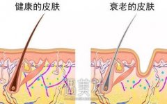 被面相耽误的高级脸，如何快速变美？ width=