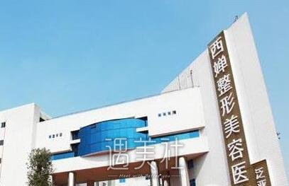 成都,西婵