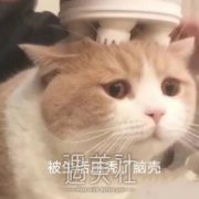 “贫瘠土地大丰收”，植发手术果真越密越好？ width=