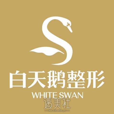 蒙自白天鹅整形医院