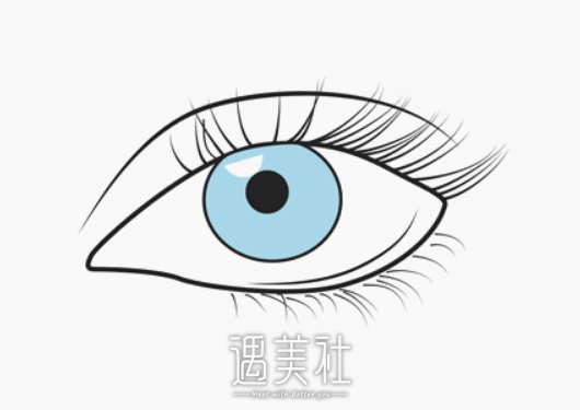 哈尔滨陈伟华双眼皮做的怎么样？全新热门案例曝光 width=