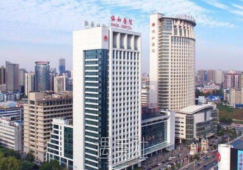 武汉协和钟爱梅割双眼皮怎么样？医生实力及案例分享 width=
