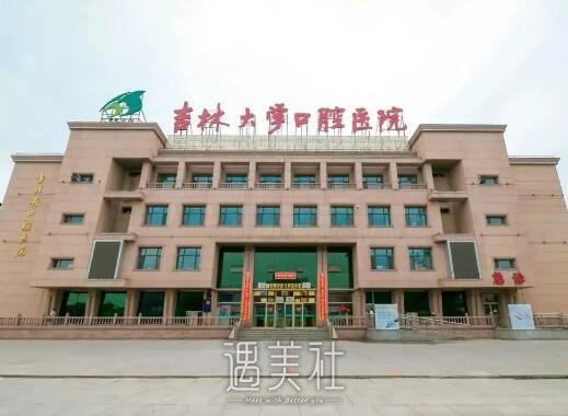 吉林大学口腔医院孟维艳种植牙案例公开｜亲身体验果图集中一览 width=