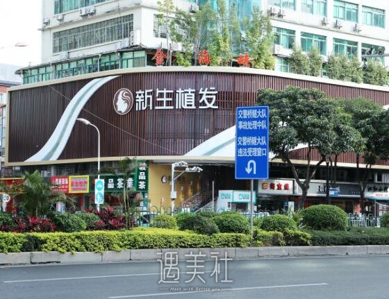 厦门新生植头发口碑好吗？医院实力及案例公布 width=