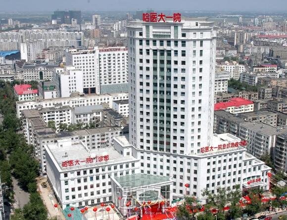 哈医大一院郝立君做鼻子怎么样？2022全新案例曝光 width=