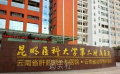 昆医附二院整形科收费表，附激光祛斑的原理解析 width=