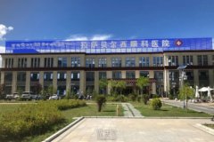 在西藏贝尔西医院，激光点斑和全脸填充的价格分别是多少？ width=